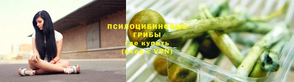герыч Алексин
