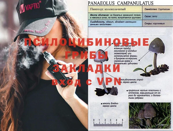 герыч Алексин