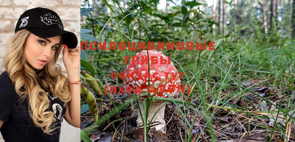 дмт Магас