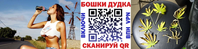 цены   Орёл  Каннабис семена 